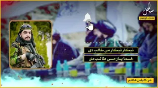 نیګار نیګار مې طالب دی زما یار مې طالب دی                                   دندنها