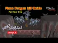Rune Dragon Kill Guide Osrs