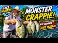 Super Slab Crappie in Hot Summer Lake Murray