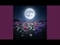 Download Lagu Nostalgia in bloom