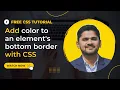 How to Add color to an element s bottom border border-bottom-color property Amit Thinks 2022