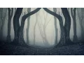 Download Lagu Scary Halloween Music • Creepy Music Mix #1