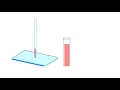 A Human Karyotype Preparation Animation