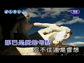 錯不在你~張清芳~男D調~伴奏導唱