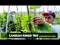 Download Lagu Gending Jawa Penenang Hati \u0026 Pikiran Cocok untuk Penghantar Tidur Anda !!! - Campursari AYU LARAS