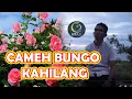 Download Lagu PERJALANAN HIDUP INI#CAMEH BUNGO KA HILANG#RIMBUN PAMENAN FT #OVHI FIRSTY