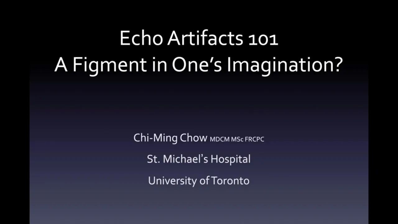 Echo Artifacts 101: A Figment of One's Imagination?