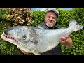 Download Lagu I Fillet an Atlantic Salmon and Deep-Fried It!