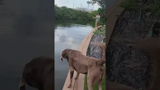 Visit with Beau & Brandy in Melbourne FL | Boating Journey