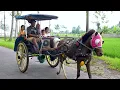 Download Lagu Keysha, Sheena \u0026 Aracelli Naik Kereta Kuda Delman Istimewa