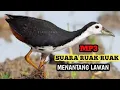 Download Lagu Ruak ruak pikat mp3 ampuh