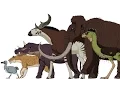 Lagu CENOZOIC BEASTS | Animated Size Comparison
