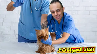 ملجأ الحيوانات انقذتهم من الموت Animal Shelter Simulator 