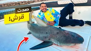 هجوم قرش بوزن    كيلو    توهقنا في نص البحر دندنها