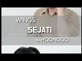 Download Lagu [COVER] ‘SEJATI(MY Ver.)’ - ‘WINGS’ by HoonDoo