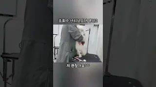 Shorts 조회수 난리났었던 영상 2 