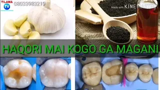 haqori mai kogo kawai ga maganin 