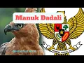 Download Lagu Manuk Dadali feat Azmi Muhammad Zaki