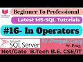 16 - How to Use the IN Operator in SQL Filter Data in SQL Queries