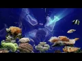 Jack Johnson - Only The Ocean 1080p