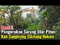 Download Lagu Ngeri‼️Pengerukan Sarang Ular Piton Kali Cangkring Cibitung Bekasi