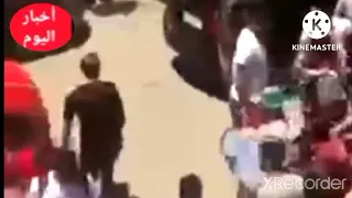                                                                                        دندنها