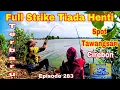 Lagu 🔴 Terbaru || Mancing Tawangsari Cirebon Full Strike Tiada Henti 😯😯‼️ # Episode 283 