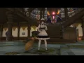 Final fantasy XIV - Broom emote