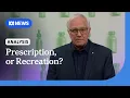As medicinal cannabis approvals surge regulation sits on the fence Alan Kohler ABC NEWS
