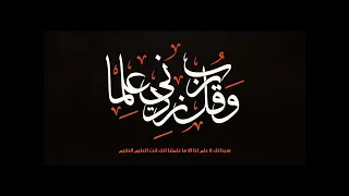 سورة البقرة الشيخ ابو بكر الشاطري 