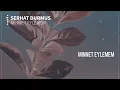 Minnet Eylemem (Serhat Durmus Remix)