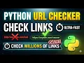 Python URL Checker Check Any Website URL in Seconds Beginner Project