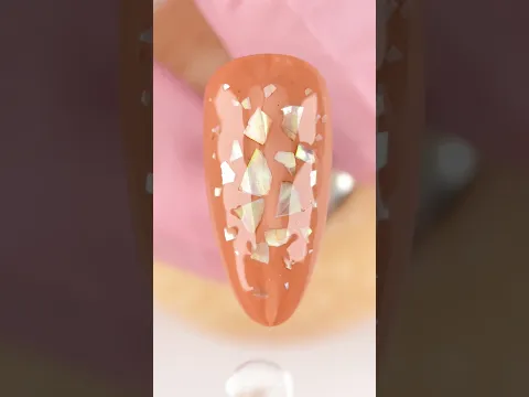 Video preview Copos de conchas marinas - 4 colores