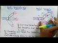 Distributed Transaction Requirements Distributed Systems Lec-60 Bhanu Priya