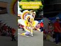 Download Lagu Kostum Karnaval Paling Keren Sepanjang Sejarah Kemerdekaan Republik Indonesia