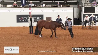 2025 Youth Showmanship World Champion 