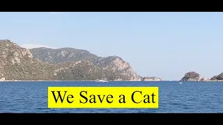 We Save A Cat. OTB 113