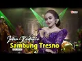 Download Lagu INTAN KADEWIE - SAMBUNG TRESNO ( Official Video Musik )