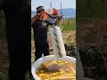 Effective process of radish cleaning