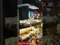Download Lagu Lengkap banget!! Toko oleh-oleh di Jakarta | Semua makanan dari berbagai daerah ada lho!
