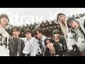 Download Lagu Stray Kids MV Playlist | Tyna Nguyễn
