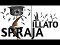 Download Lagu SP. RAJA ILLATO original by ekafamily mp3 | suara panggil burung walet external 2025