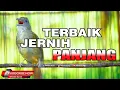 Download Lagu #1🔴 KAPAS TEMBAK GACOR JERNIH PANJANG MANTAP UNTUK MASTERAN SEGALA JENIS BURUNG JERNIH CEPAT MASUK