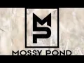 Mossy Pond 12-2025