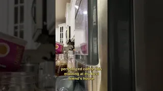 SONIC ICE IS FOR THE RICH #shorts #boatlife #sailing