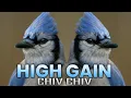Download Lagu Chiv Chiv Horn mix High Gain competition  💥💨