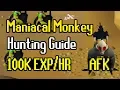 Maniacal Monkey Hunting Guide AFK Hunter Method 100K