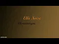 Elli Noise - almanaque (Letra)