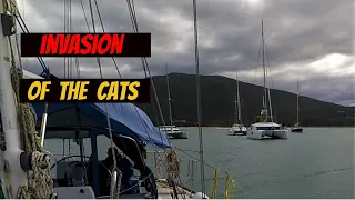 Invasion of the Cats [Ep 8] Sailing Salacia Star