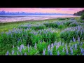 Under the Midnight Sun 4K Juneau Alaska